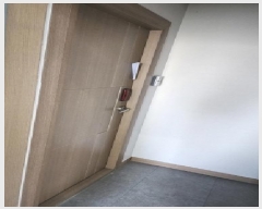  2025Ÿ10999 泲  ȣ 535-9       ܵ,ð