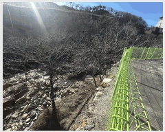  2025Ÿ��11008 �泲 ���� �� 1195-6       ������