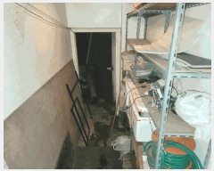  2025Ÿ��11337  �ٸ��ü����