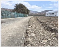  2025Ÿ��11409 ��� ���ֱ� ������ ������ 341-4      ����(����)���