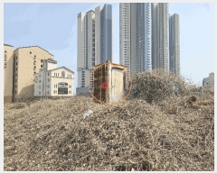  2025Ÿ��11499  �������