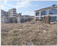  2025Ÿ��11499  �������