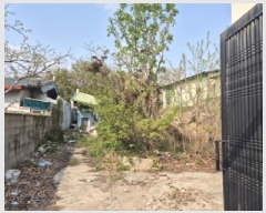  2025Ÿ��11550  �����