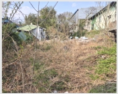  2025Ÿ��11550  �����