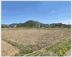  2025Ÿ��11567 ��� ���ֱ� ��ϸ� õ���� 79      ����(��)���