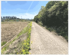  2025Ÿ��11567 ��� ���ֱ� ��ϸ� õ���� 79      ����(��)���