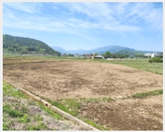  2025Ÿ��11567 ��� ���ֱ� ��ϸ� õ���� 79      ����(��)���