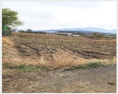  2025Ÿ��11573 ��� ���ֱ� ����� ������ 499-3      ����(��)���