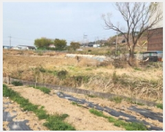  2025Ÿ��11573 ��� ���ֱ� ����� ������ 499-3      ����(��)���