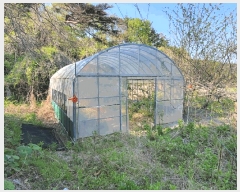  2025Ÿ��11686 ��� �ϱ� ������ 885       ���ð��