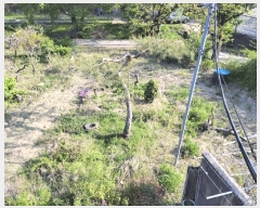  2025Ÿ��11686 ��� �ϱ� ������ 885       ���ð��