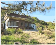  2025Ÿ��11686 ��� �ϱ� ������ 885       ���ð��