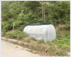  2025Ÿ��11748  �����