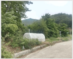  2025Ÿ��11748  �����