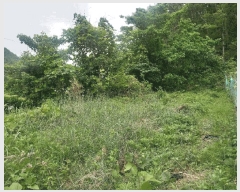  2025Ÿ��11748  �����