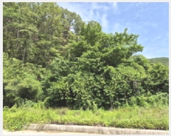  2025Ÿ��11748  �����