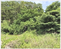  2025Ÿ��11748  �����