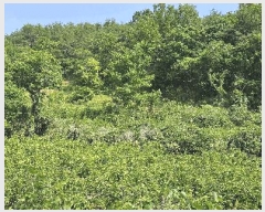  2025Ÿ��11867  �����