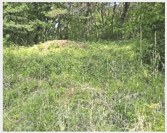  2025Ÿ��11867  �����