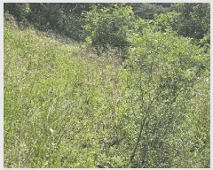  2025Ÿ��11867  �����