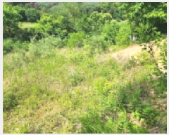  2025Ÿ��11867  �����