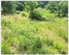  2025Ÿ��11867  �����