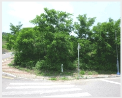  2025Ÿ��12026 ��� �ϱ� ���ϵ� 987-9       ����(����)���