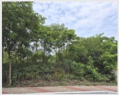  2025Ÿ��12026 ��� �ϱ� ���ϵ� 987-9       ����(����)���