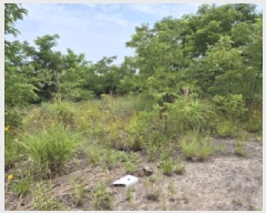  2025Ÿ��12026 ��� �ϱ� ���ϵ� 987-9       ����(����)���