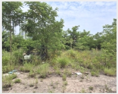  2025Ÿ��12026 ��� �ϱ� ���ϵ� 987-9       ����(����)���