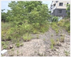  2025Ÿ��12026 ��� �ϱ� ���ϵ� 987-9       ����(����)���