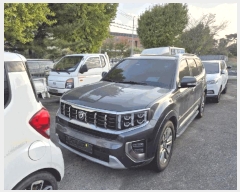  2025Ÿ��12584  �������