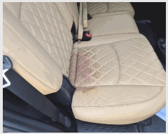  2025Ÿ��12584  �������