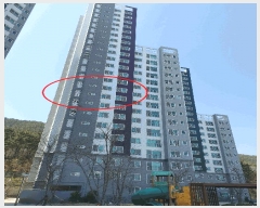  2025Ÿ��247  ����Ʈ���