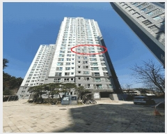  2025Ÿ��247  ����Ʈ���