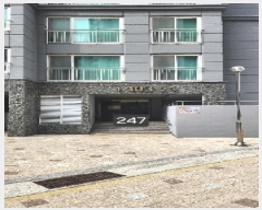  2025Ÿ��247  ����Ʈ���