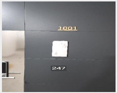  2025Ÿ��247  ����Ʈ���