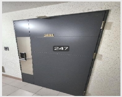  2025Ÿ��247  ����Ʈ���