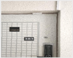  2025Ÿ��383  ���ǽ��ڰ��