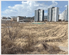  2025Ÿ��261  ����