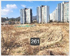  2025Ÿ��261  ����