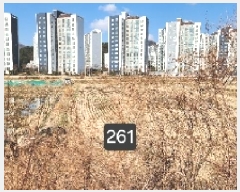  2025Ÿ��261  ����