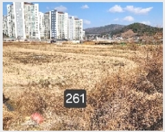  2025Ÿ��261  ����