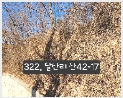  2025Ÿ��322  �Ӿ߰��