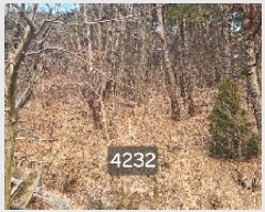  2025Ÿ��4232  �Ӿ߰��