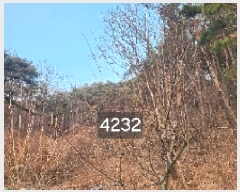  2025Ÿ��4232  �Ӿ߰��