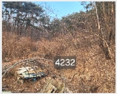  2025Ÿ��4232  �Ӿ߰��