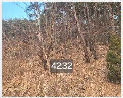  2025Ÿ��4232  �Ӿ߰��