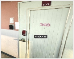  2025Ÿ��4978  ����Ʈ���