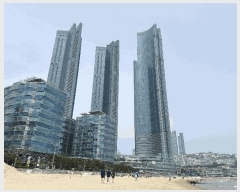  2025Ÿ��5231 �λ� �ؿ�뱸 �ߵ� 1829 ����Ƽ ���帶ũŸ���� 24��2407ȣ    �ܵ�(ȣ��)���